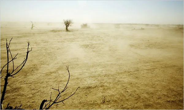 Bare trees standing in a dust-filled former Aral Sea landscape